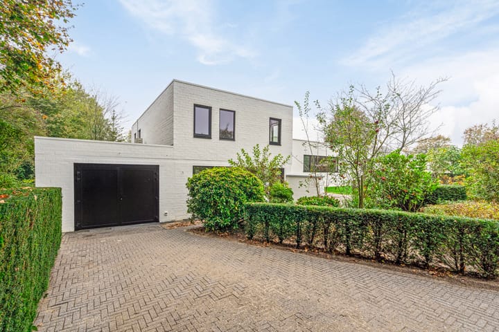 Foto 3 van den Daal 16