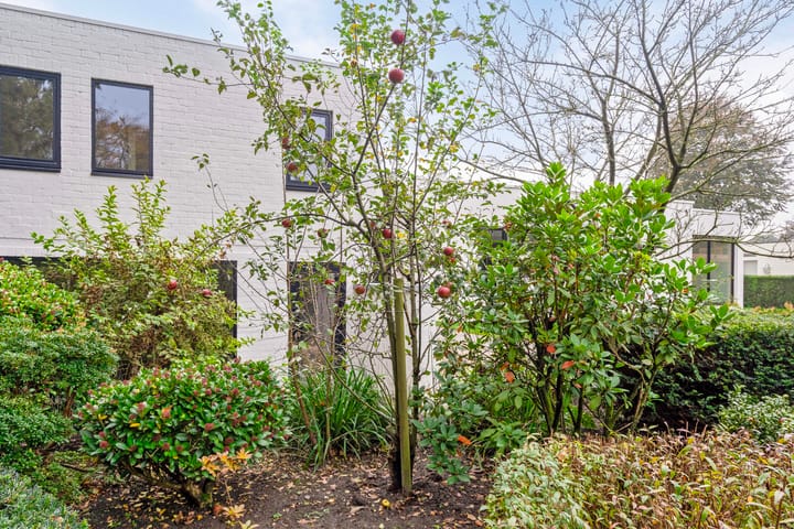 Foto 53 van den Daal 16