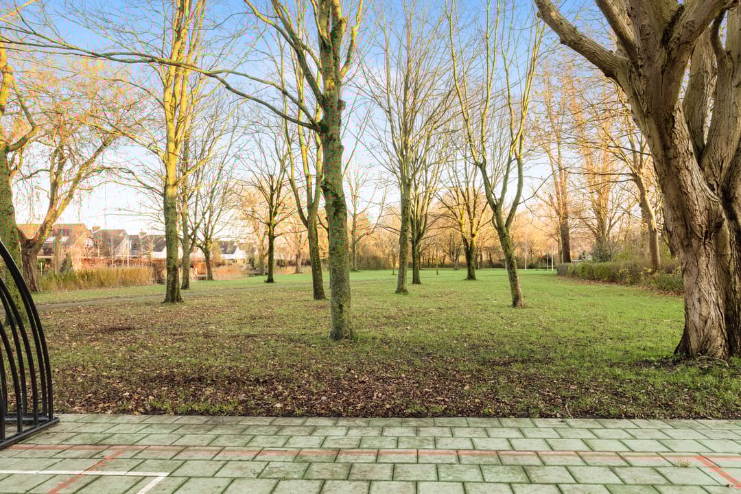 Photo 28 of Walstro 14