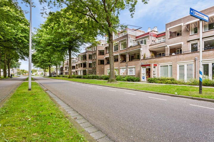 Foto 40 van Raadhuislaan 63
