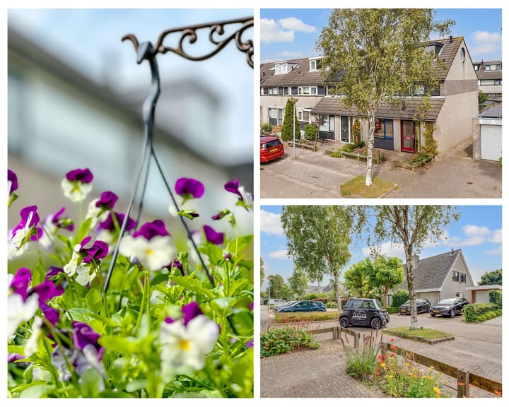 Photo 36 of Moerendael 28