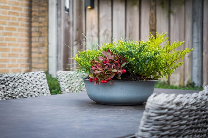 Foto 48 van Notarisappel 151