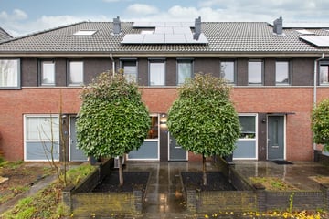 Keltenstraat thumbnail