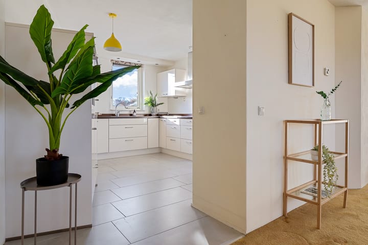 Photo 25 of Jan Brinkhoffplantsoen 56