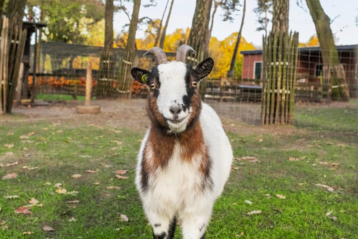 Foto 69 van Espenhof 65