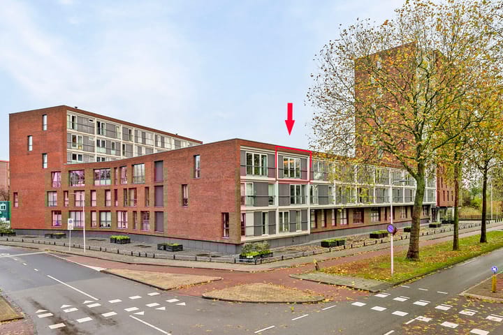 Photo 1 of Pandora 33