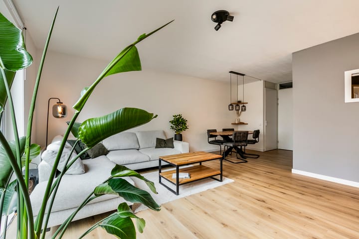 Photo 3 of Pandora 33