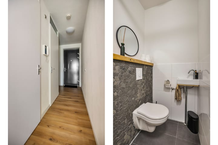 Photo 6 of Pandora 33