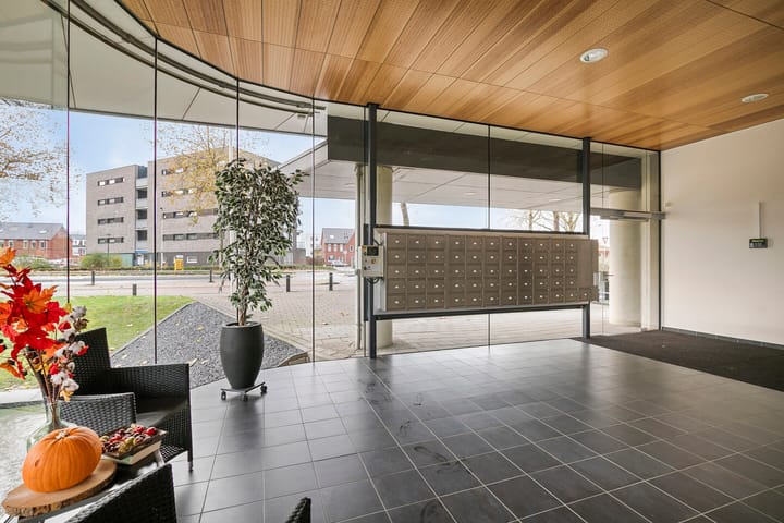 Photo 23 of Pandora 33