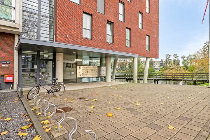 Photo 28 of Pandora 33