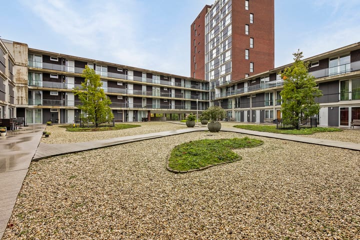 Photo 29 of Pandora 33