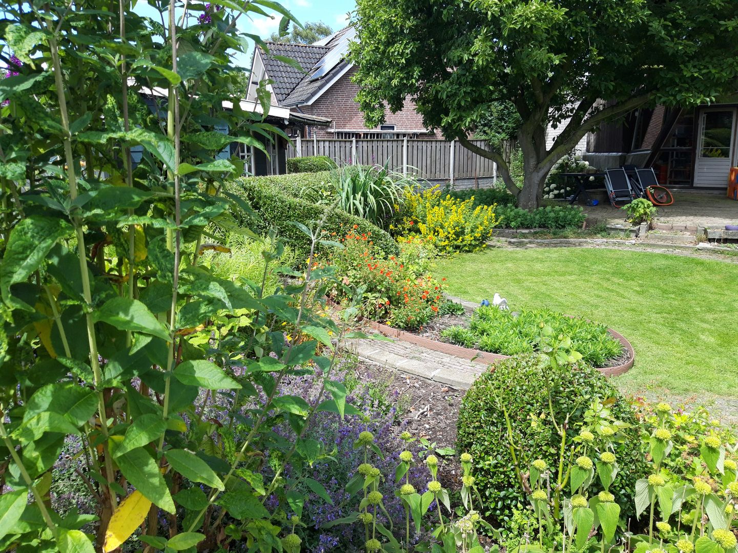 Foto 50 van Hoge Maasdijk 32