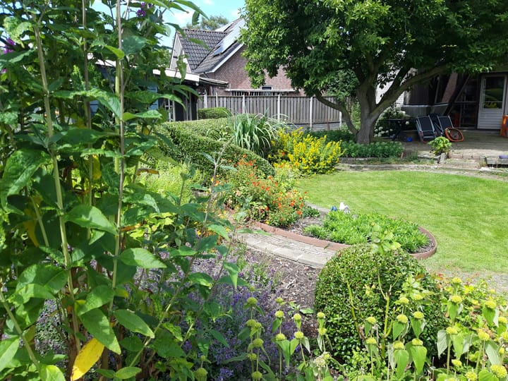 Foto 50 van Hoge Maasdijk 32