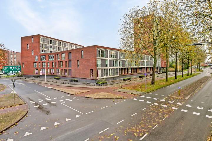 Photo 33 of Pandora 33