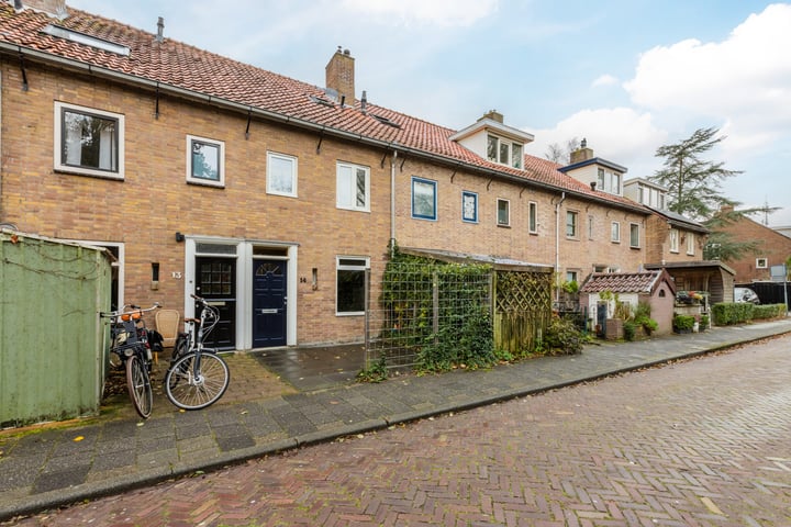 Bekijk foto 36 van Ranonkelstraat 14