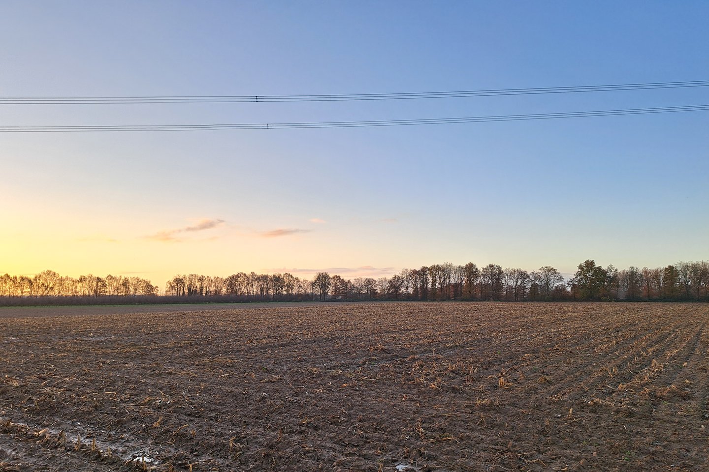 Bekijk foto 2 van Aan de Houtweg Noord