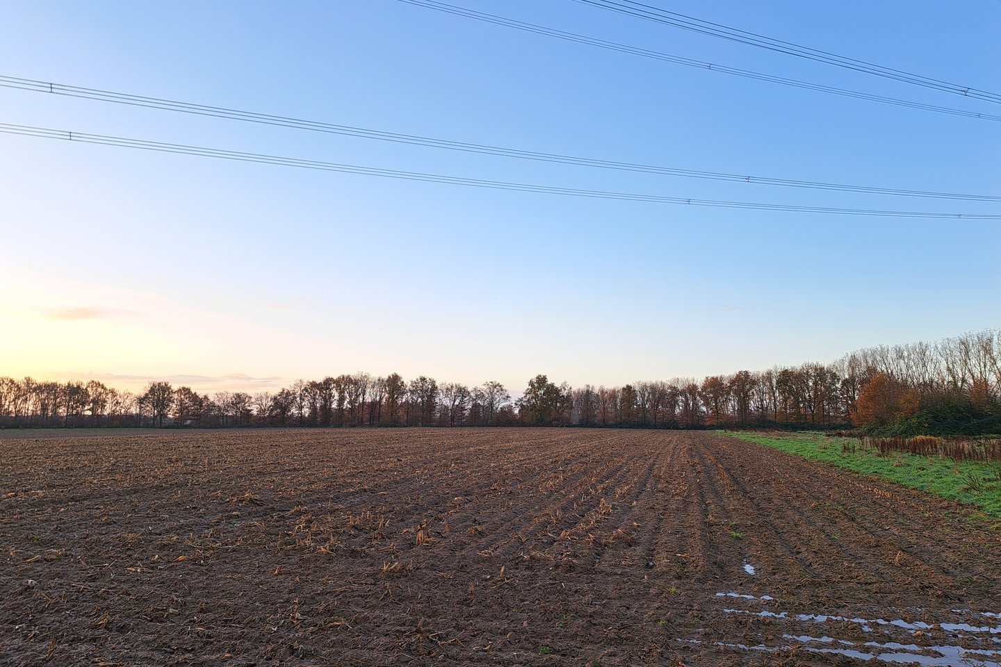 Bekijk foto 3 van Aan de Houtweg Noord