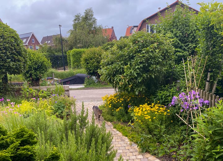 Photo 37 of Strijpwetering 10