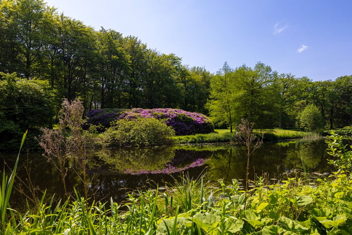 Bekijk foto 21 van Van Ommerenlaan 2