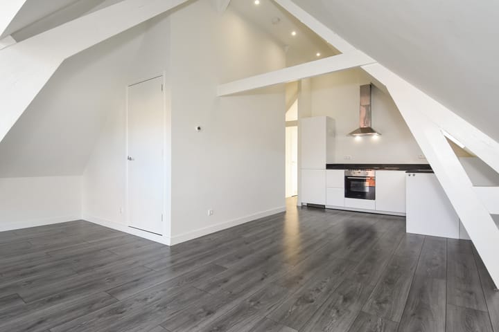 Foto 1 van Hugo de Grootstraat 17-5