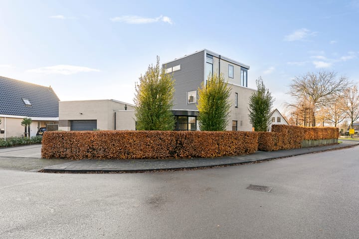 Foto 10 van Herweystate 2