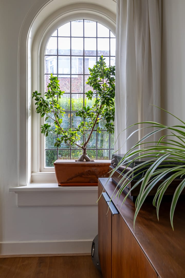 Foto 12 van Van Royenlaan 33