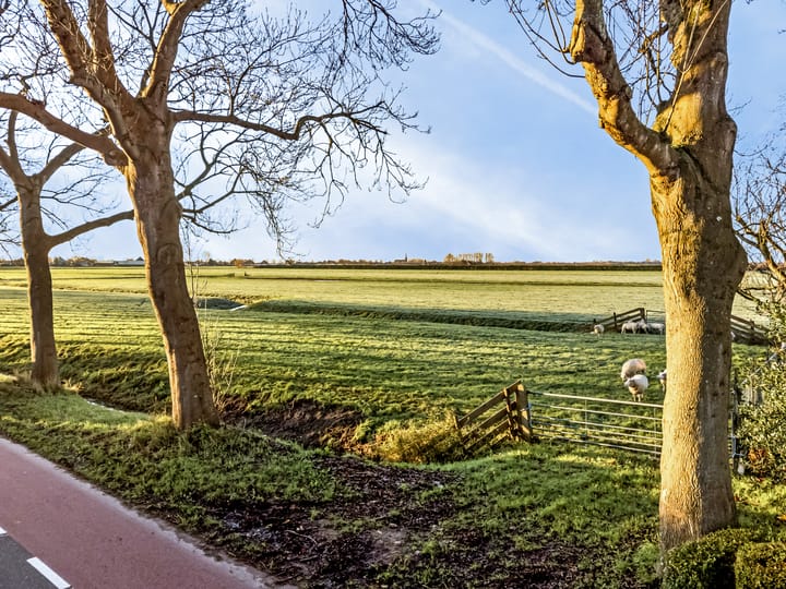 Foto 15 van Dr.Wijtemalaan 13