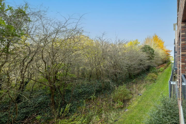 Bekijk foto 23 van Meander 42