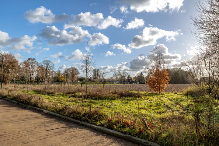 Foto 30 van Korenbloem 11