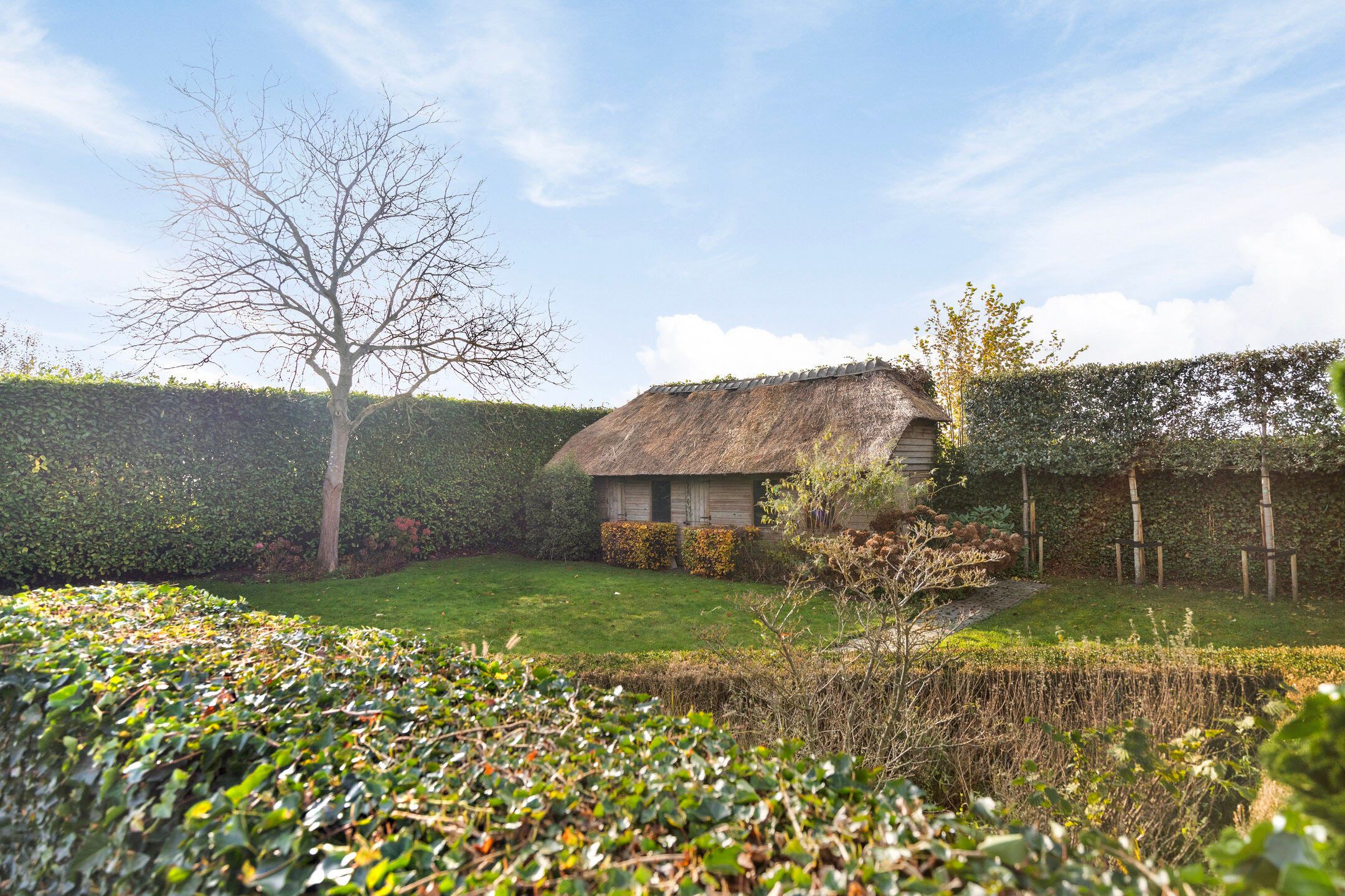 Foto 39 van Theodorus Rijkenstraat 32