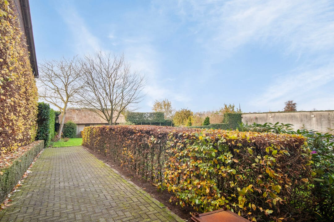 Foto 41 van Theodorus Rijkenstraat 32