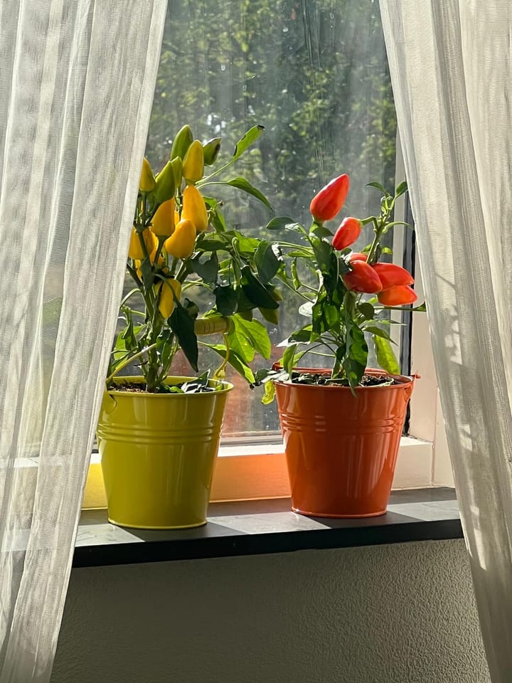 Foto 3 van Drinkwaterweg 316