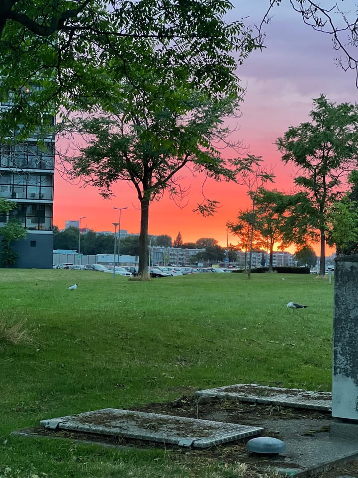 Foto 13 van Drinkwaterweg 316