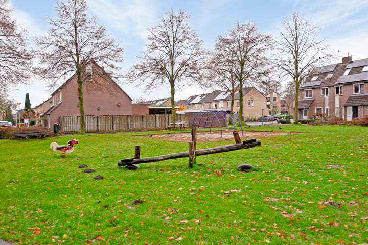 Foto 36 van Korhoender 81