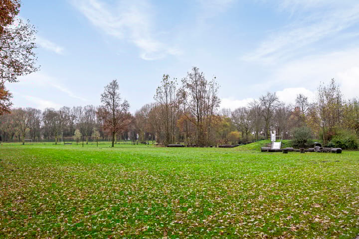 Foto 38 van Korhoender 81