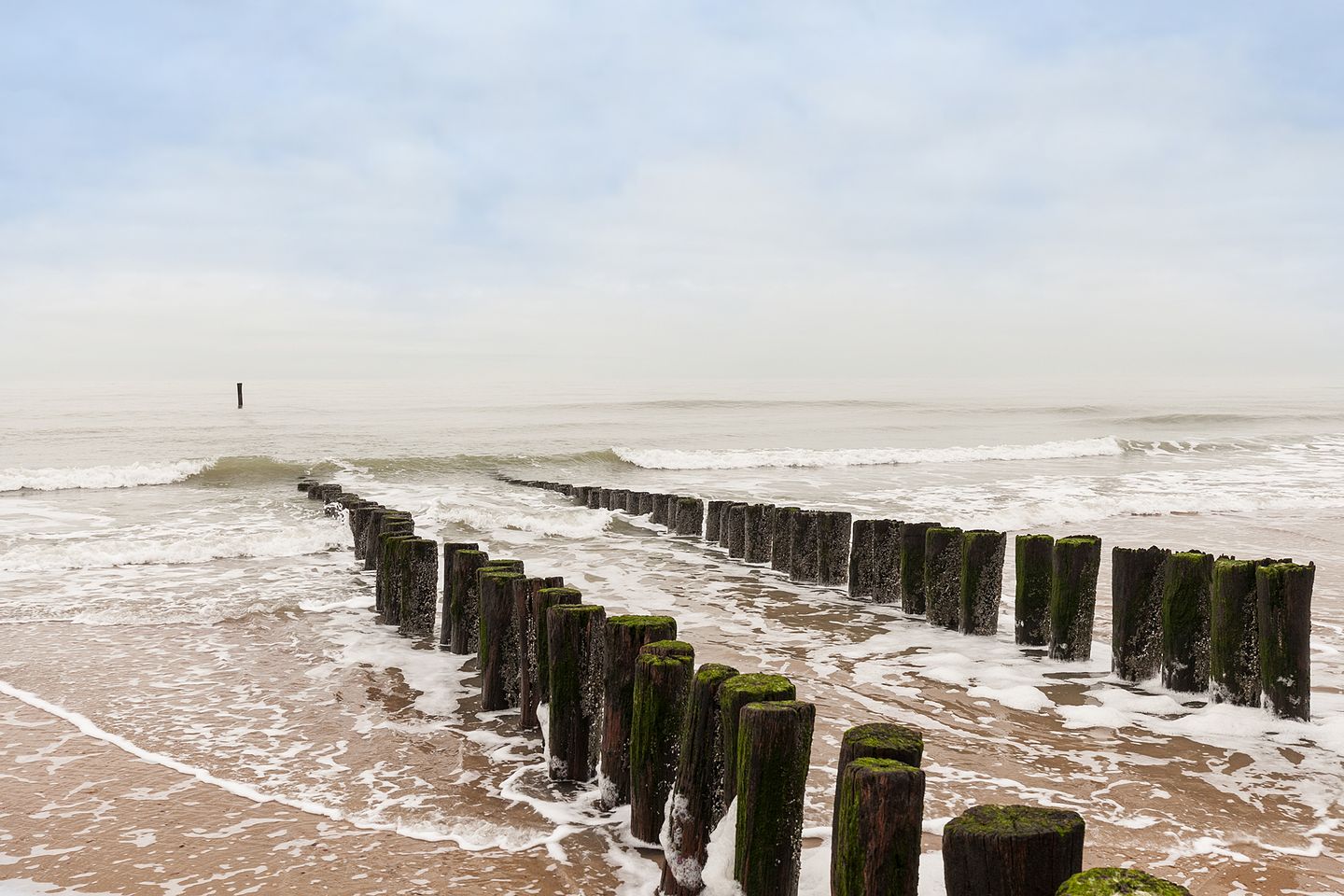 Foto 50 van Schuitvlotstraat 30