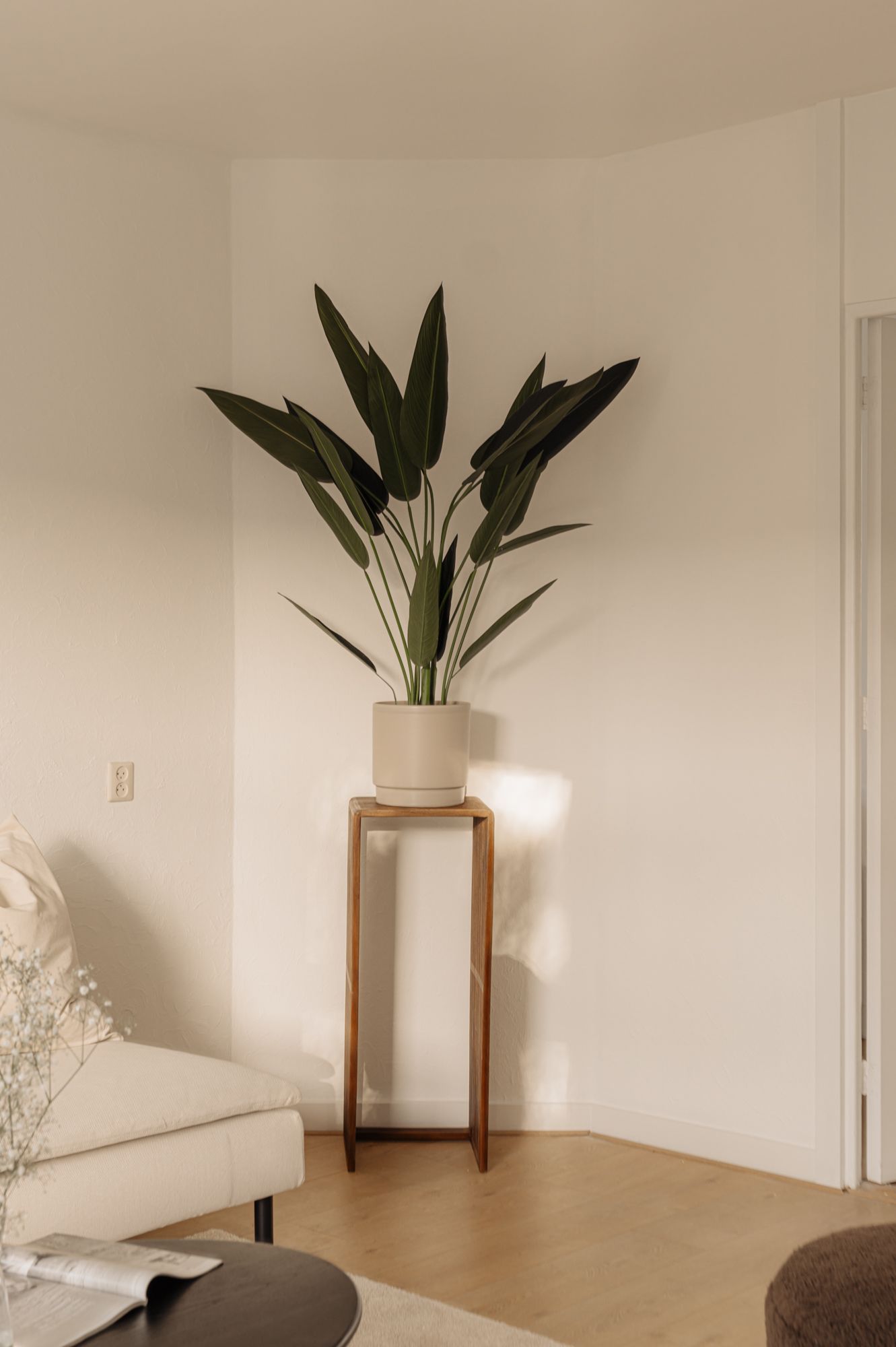 Foto 15 van Admiralengracht 20-2