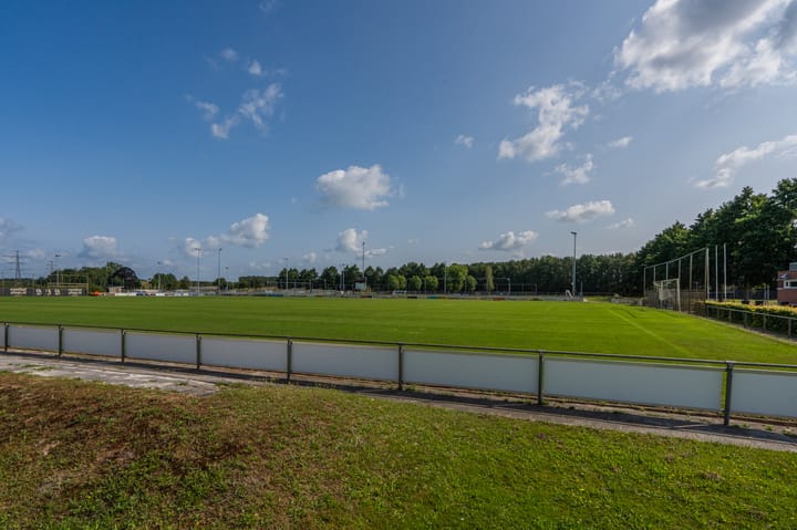 Photo 48 of Caro van Eyckweg 9