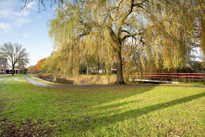 Foto 2 van Eendekroos 23