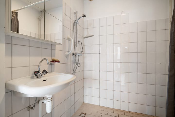 Foto 28 van Eendekroos 23