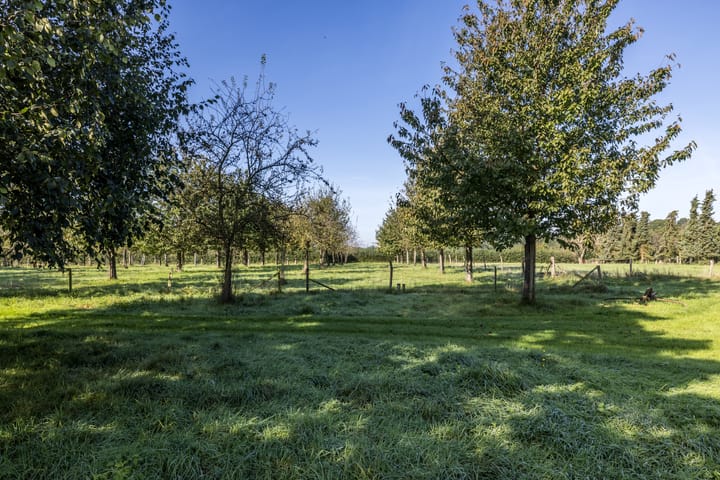 Foto 51 van Achter de Höfkens 9