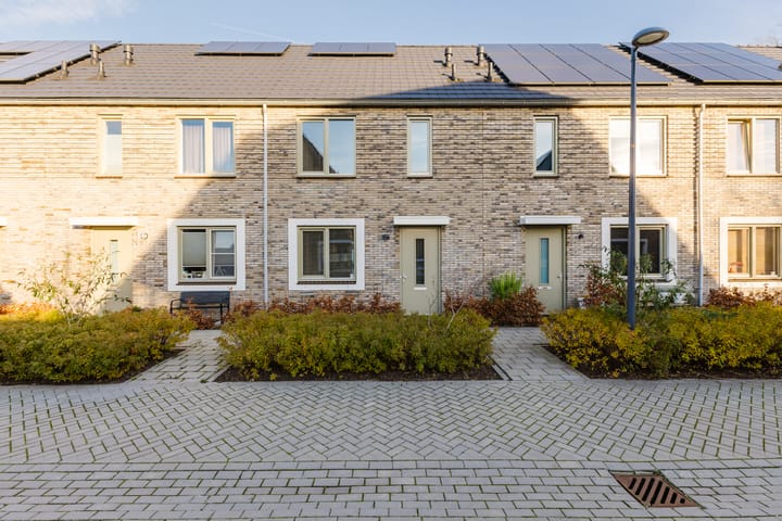 Foto 2 van Botter 11