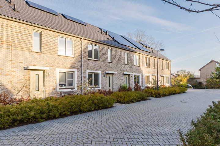 Foto 6 van Botter 11