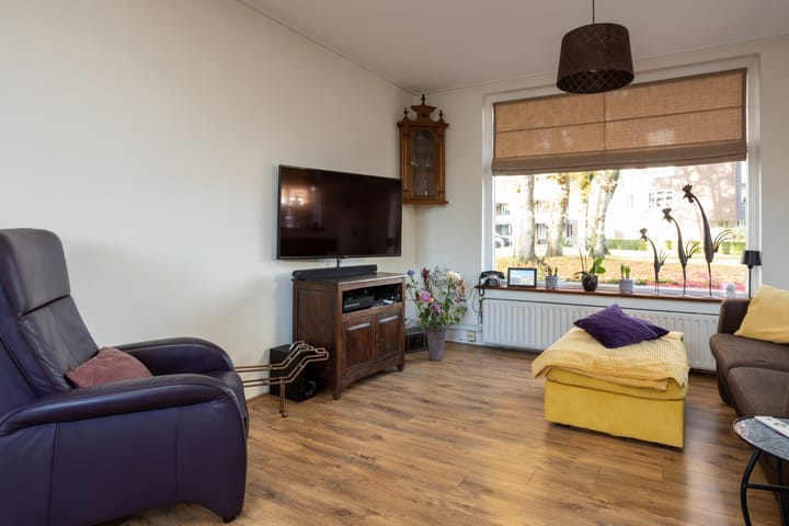 Foto 6 van Scheidiuslaan 1