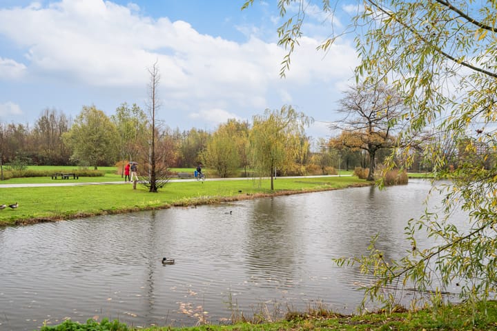 Foto 37 van van Maanenstraat 100