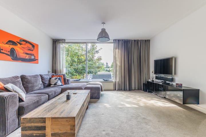 Foto 3 van Rode Zee 63