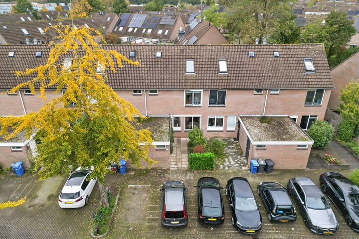 Foto 3 van Van Maanenware 30