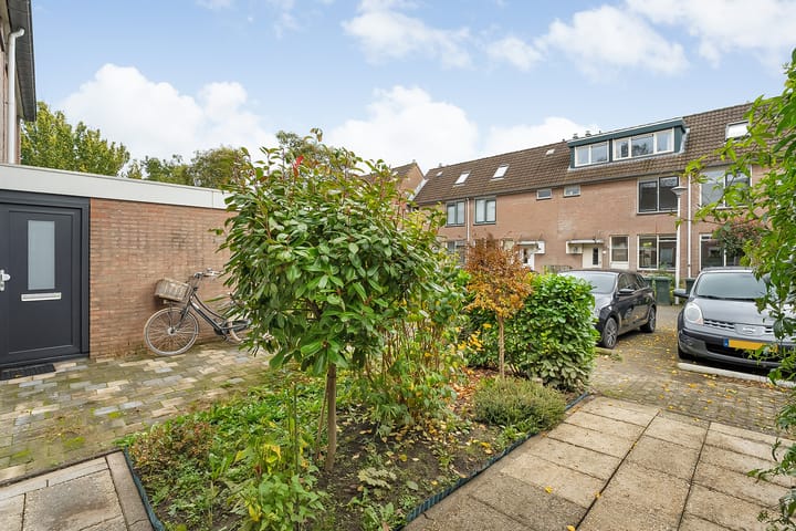 Foto 4 van Van Maanenware 30