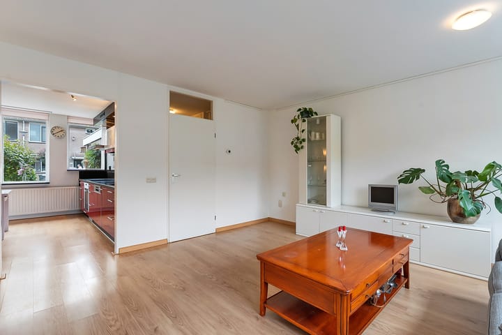 Foto 9 van Van Maanenware 30