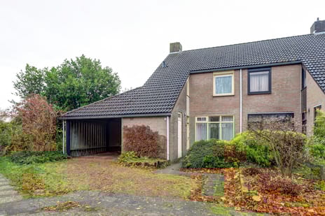 undefined main image